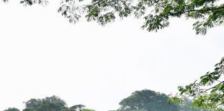 Serahkan Bantuan Modal Kerja, Presiden: Jangan Patah Semangat