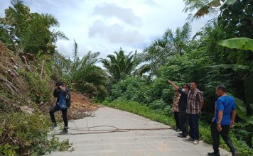 Kadis PUPR dan BPBD Mateng Tinjau Lokasi Longsor di Pangale