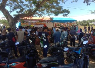 Hasil Pilkades Serentak di Mateng Didominasi Pendatang Baru, 25 Petahana “Tumbang”
