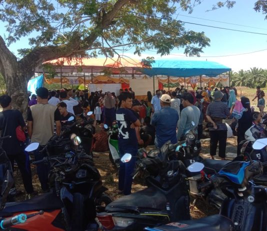 Hasil Pilkades Serentak di Mateng Didominasi Pendatang Baru, 25 Petahana “Tumbang”