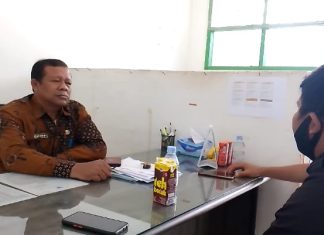 Dugaan Korupsi Peremajaan Sawit Rakyat, Sekdis Pertanian Mateng Ingatkan Mesti Jeli