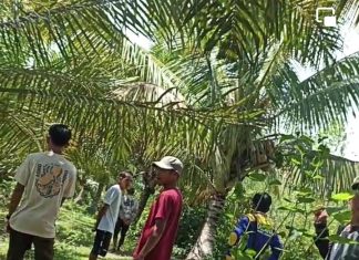 Rifal Hilang Sejak Selasa, Dicari Sampai ke Pelosok Topoyo