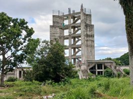 Rumput Merambat di ‘Landmark’ Mamuju Kota
