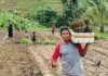 Kodim 1418/Mamuju Bergerak, Ajak Petani Millenial Perkuat Pangan dengan Tanam Stevia