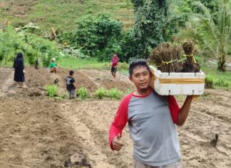 Kodim 1418/Mamuju Bergerak, Ajak Petani Millenial Perkuat Pangan dengan Tanam Stevia